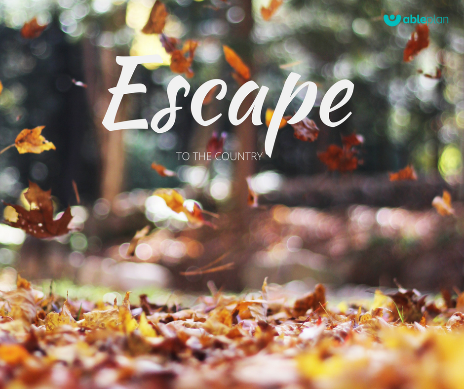 Enjoy today escape to the country